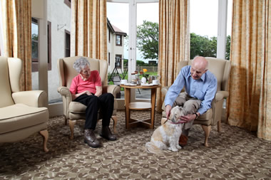 Suncourt House Feature